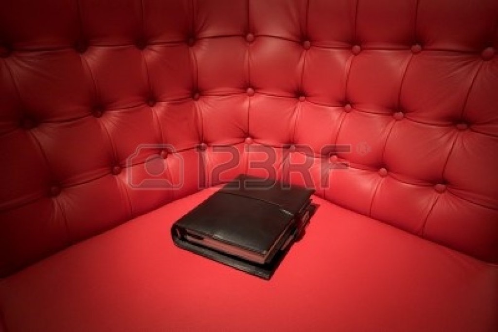 10057026-black-filofax-type-planner-on-red-leather-couch